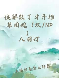 快解散了才开始草团魂（双/NP）